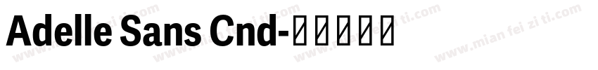 Adelle Sans Cnd字体转换